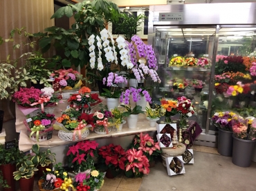 「花ぐるま」　（岡山県倉敷市）の花屋店舗写真2